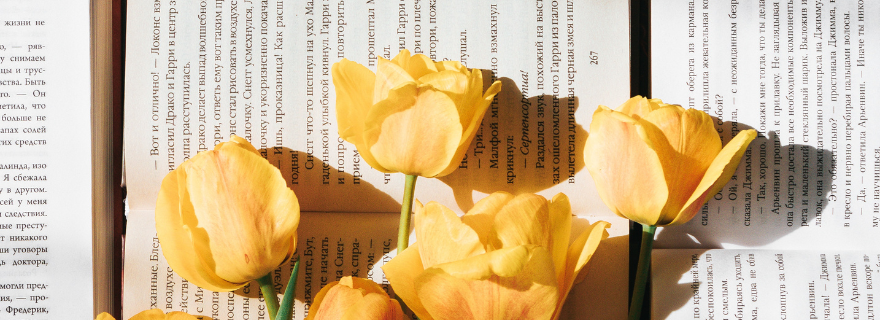 Yellow flowers on open book pages
